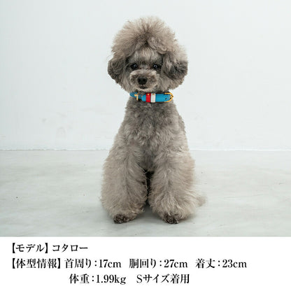 【CRAZYBOO公式】首輪 カラー スワロフ ベルト通し S/M/L クレイジーブー 犬用 小型犬 トイプードル チワワ ダックス cb119828-1