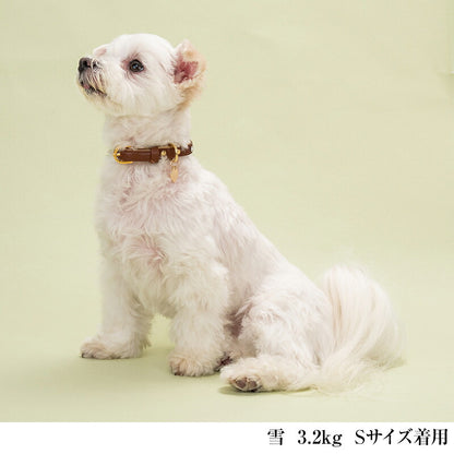 【CRAZYBOO公式】首輪 カラー スワロフ ベルト通し S/M/L クレイジーブー 犬用 小型犬 トイプードル チワワ ダックス cb119828-1