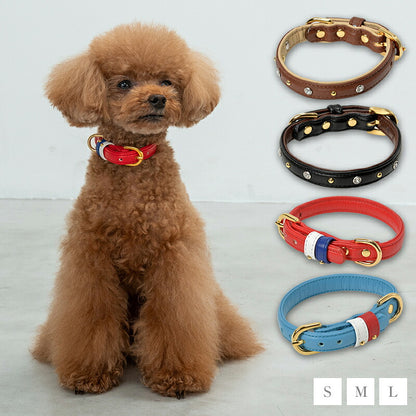【CRAZYBOO公式】首輪 カラー スワロフ ベルト通し S/M/L クレイジーブー 犬用 小型犬 トイプードル チワワ ダックス cb119828-1