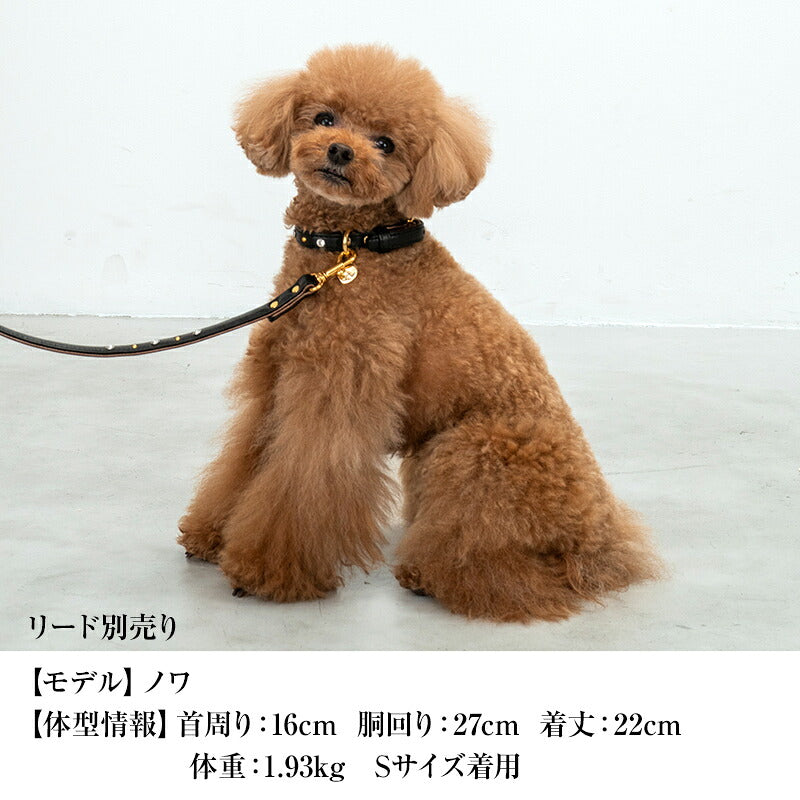 【CRAZYBOO公式】首輪 カラー スワロフ ベルト通し S/M/L クレイジーブー 犬用 小型犬 トイプードル チワワ ダックス cb119828-1