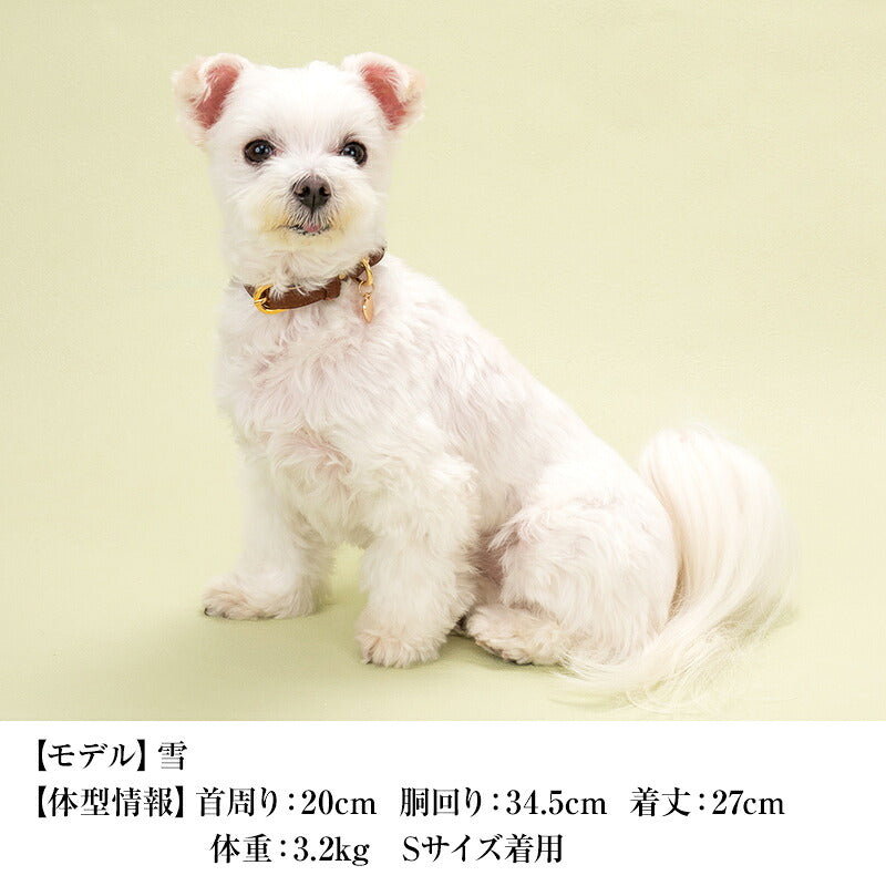【CRAZYBOO公式】首輪 カラー スワロフ ベルト通し S/M/L クレイジーブー 犬用 小型犬 トイプードル チワワ ダックス cb119828-1
