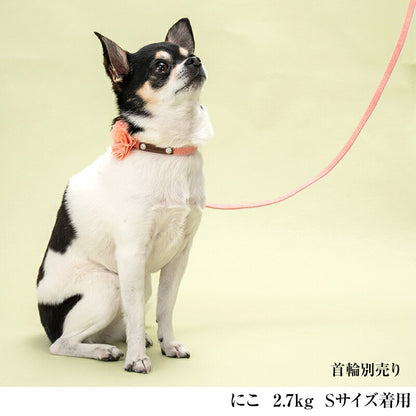 CRAZYBOO / クレイジーブー フラワー リード S / Mサイズ 犬服 / 犬の服 / ドッグウェア