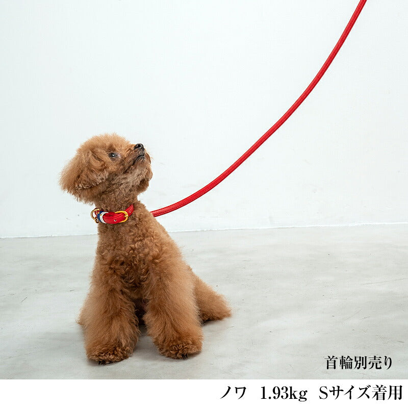 【CRAZYBOO公式】リード スワロフ ベルト通し Free (105cm) クレイジーブー 犬用 小型犬 トイプードル チワワ ダックス cb119834