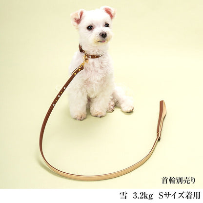 【CRAZYBOO公式】リード スワロフ ベルト通し Free (105cm) クレイジーブー 犬用 小型犬 トイプードル チワワ ダックス cb119834