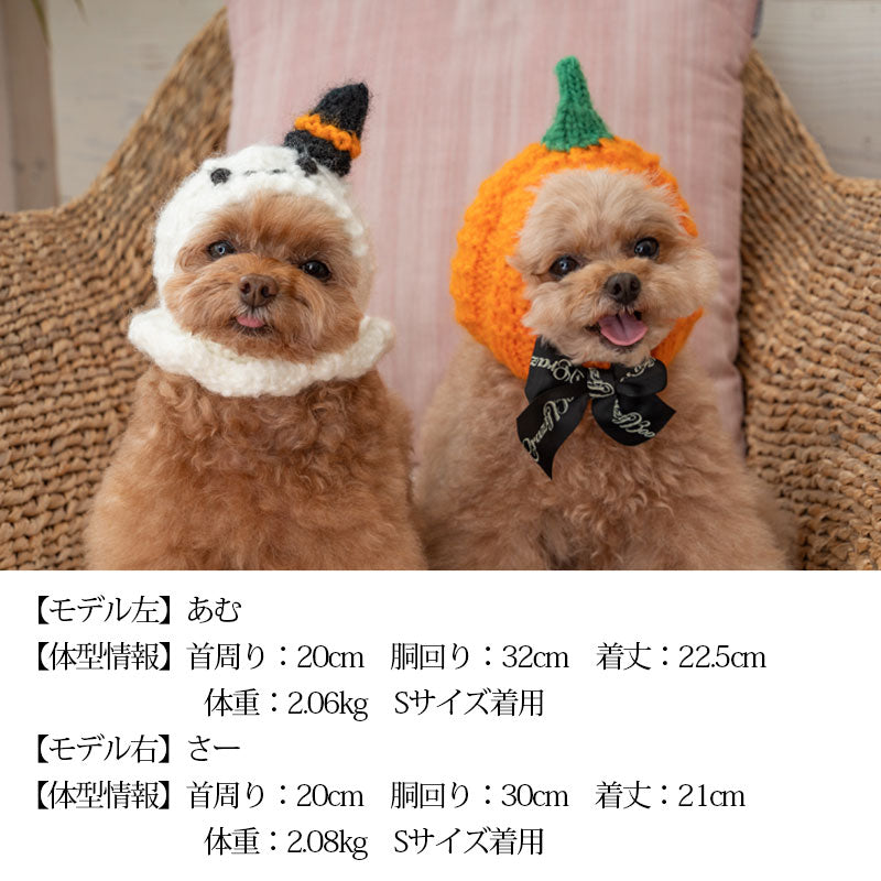 CB手編みニット帽 S/M/L CRAZYBOO -クレイジーブー- ハロウィン コスプレ 犬服 帽子 ドッグウェア トイプードル チワワ ポメラニアン CB22AW cb169981-1