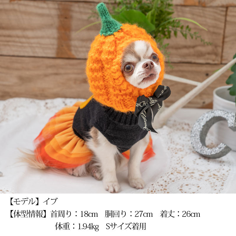 CB手編みニット帽 S/M/L CRAZYBOO -クレイジーブー- ハロウィン コスプレ 犬服 帽子 ドッグウェア トイプードル チワワ ポメラニアン CB22AW cb169981-1