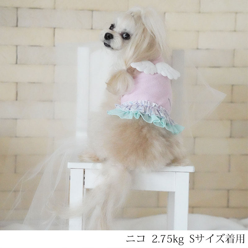 BABYエンジェルタンク 2XS/XS/S/M CRAZYBOO Baby（クレイジーブー ベビー） 子犬用 パピー 犬服 トイプードル チワワ ポメラニアン CBbaby22AW cb161994-1