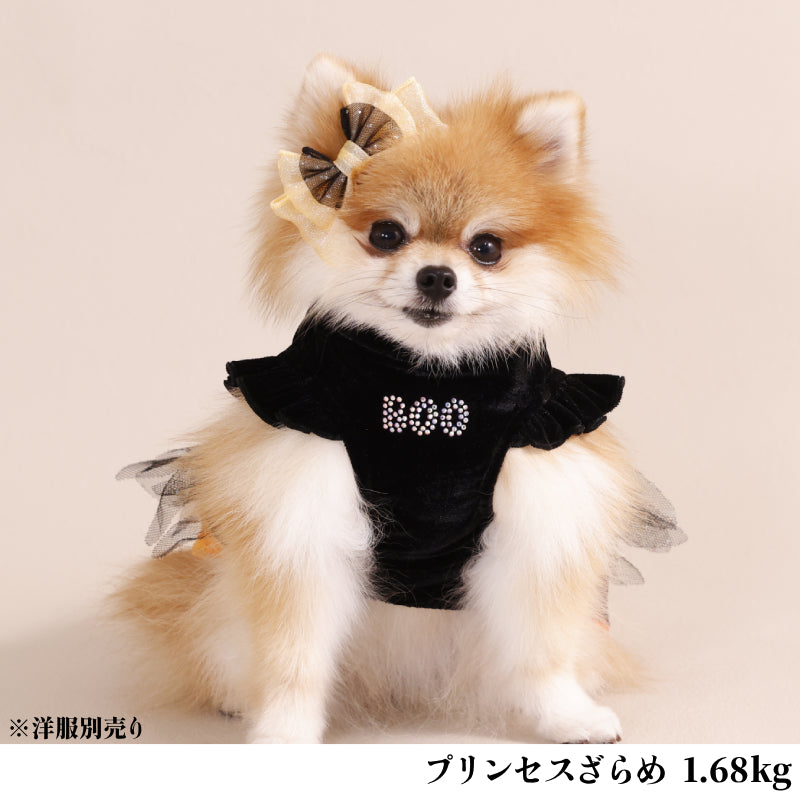 【公式通販限定】ハロウィンヘアリボン F CRAZYBOO -クレイジーブー- 犬用 アクセサリー CB25AW cb252007