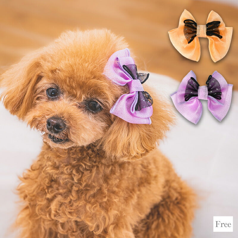 【公式通販限定】ハロウィンヘアリボン F CRAZYBOO -クレイジーブー- 犬用 アクセサリー CB25AW cb252007