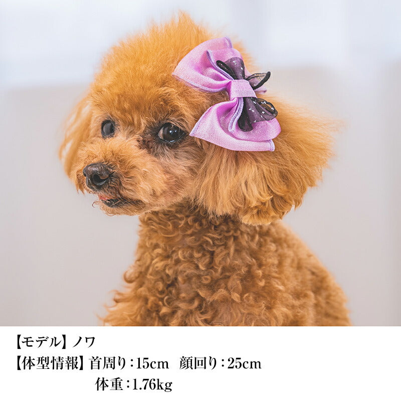 【公式通販限定】ハロウィンヘアリボン F CRAZYBOO -クレイジーブー- 犬用 アクセサリー CB25AW cb252007