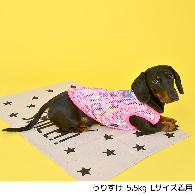 プリントメッシュタンク XS/S/M/L/XL/XXL/DS/DM/DL/FB D's Chat-ディーズチャット- 犬服 ドッグウェア 小型犬 ダックス フレブル DS21SS ds151090-1