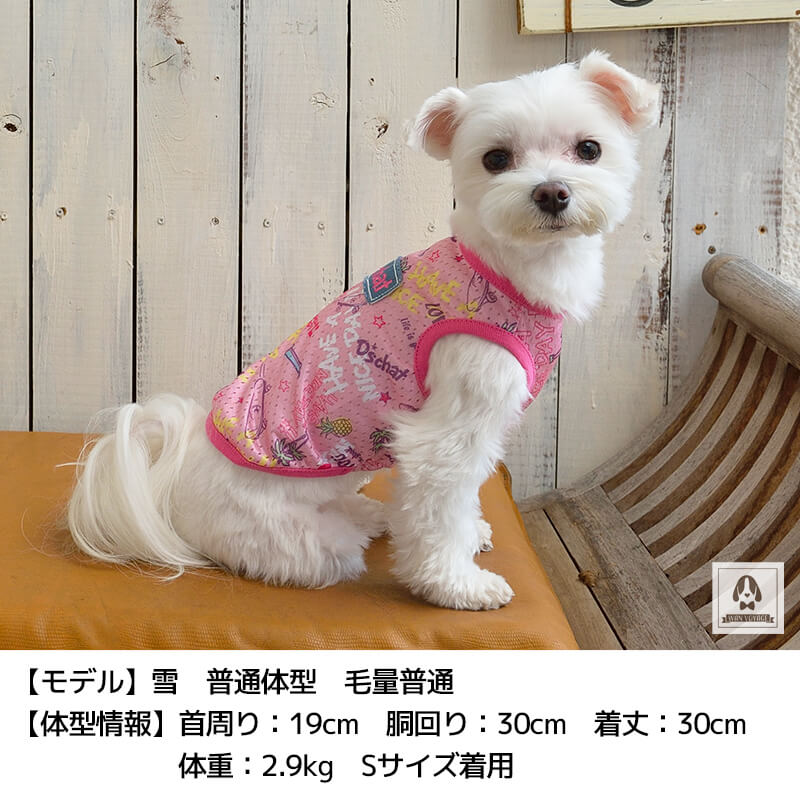 プリントメッシュタンク XS/S/M/L/XL/XXL/DS/DM/DL/FB D's Chat-ディーズチャット- 犬服 ドッグウェア 小型犬 ダックス フレブル DS21SS ds151090-1