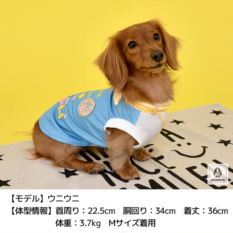 サーフバンダナメッシュタンク XS/S/M/L/XL/XXL/DS/DM/DL/FB D's Chat-ディーズチャット- 犬服 ドッグウェア 小型犬 ダックス フレブル DS21SS ds151093-1