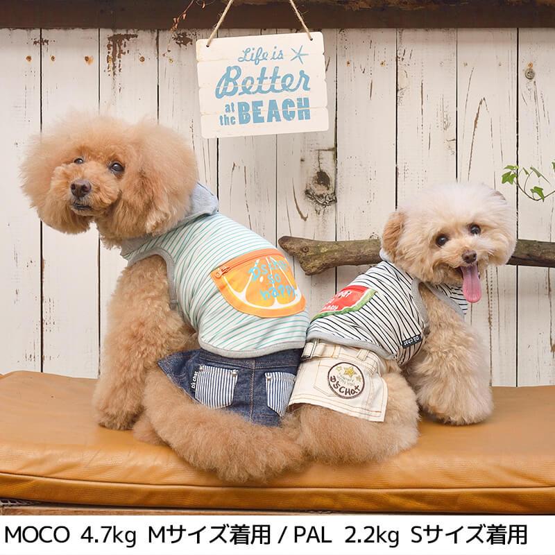 フルーツポケットボーダーパーカ XS/S/M/L/XL/XXL/DS/DM D's Chat-ディーズチャット- 犬服 ドッグウェア 小型犬 ダックス DS21SS ds152096-1