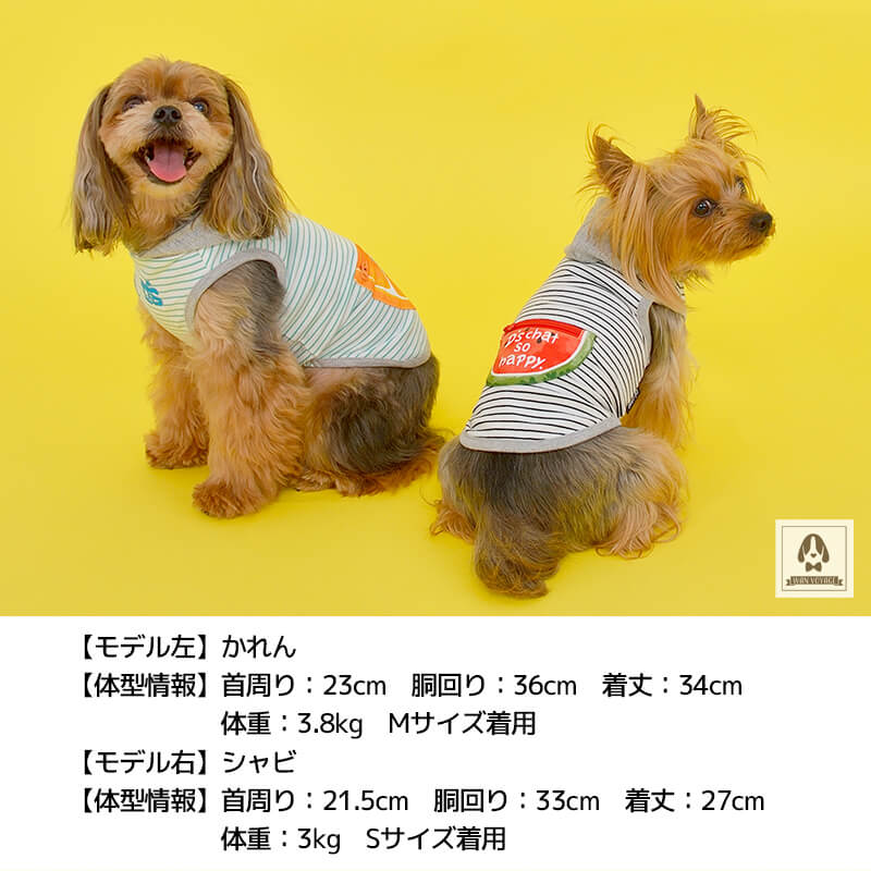 フルーツポケットボーダーパーカ XS/S/M/L/XL/XXL/DS/DM D's Chat-ディーズチャット- 犬服 ドッグウェア 小型犬 ダックス DS21SS ds152096-1