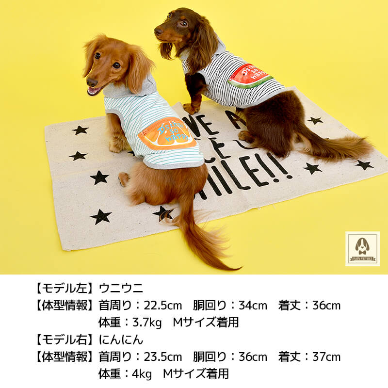 フルーツポケットボーダーパーカ XS/S/M/L/XL/XXL/DS/DM D's Chat-ディーズチャット- 犬服 ドッグウェア 小型犬 ダックス DS21SS ds152096-1