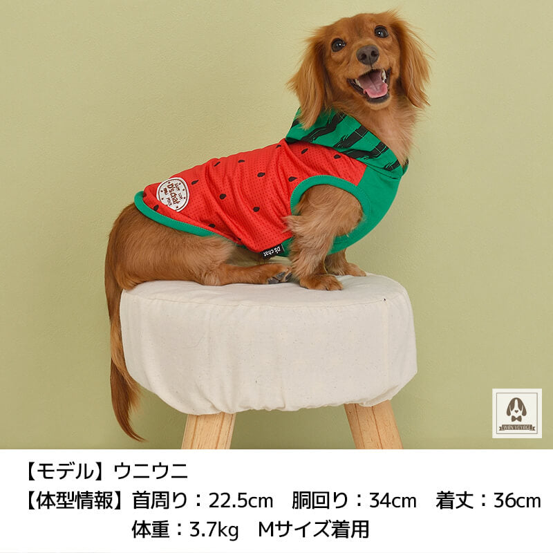 なりきりフルーツパーカ XS/S/M/L/XL/XXL/DS/DM D's Chat-ディーズチャット- 犬服 ドッグウェア 小型犬 ダックス DS21SS ds152097-1