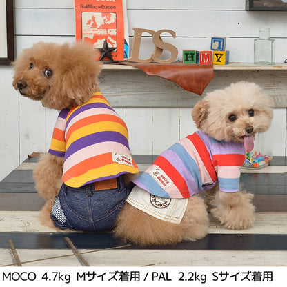 マルチボーダーTシャツ XS/S/M/L/XL/XXL/DS/DM D's Chat-ディーズチャット- 犬服 ドッグウェア 小型犬 ダックス DS21SS ds151099-1