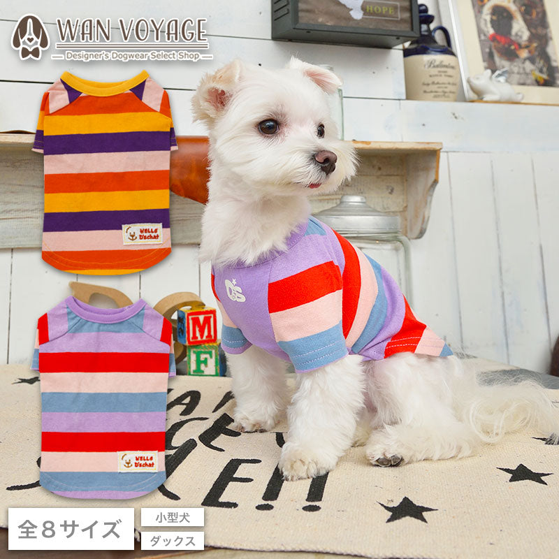 マルチボーダーTシャツ XS/S/M/L/XL/XXL/DS/DM D's Chat-ディーズチャット- 犬服 ドッグウェア 小型犬 ダックス DS21SS ds151099-1