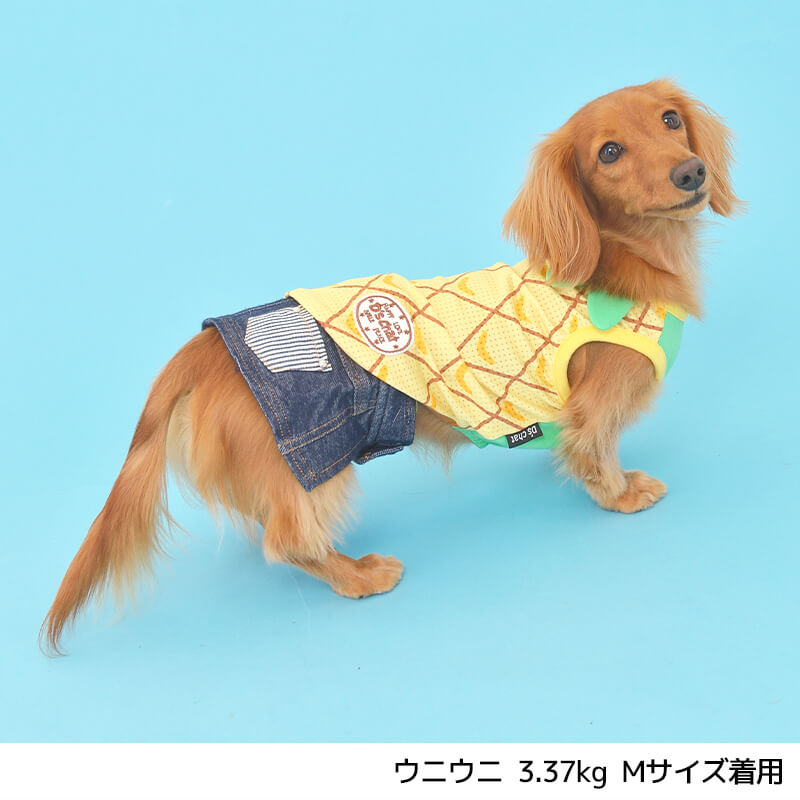 なりきりフルーツタンク XS/S/M/L/XL/XXL/DS/DM/DL/FBM D's Chat