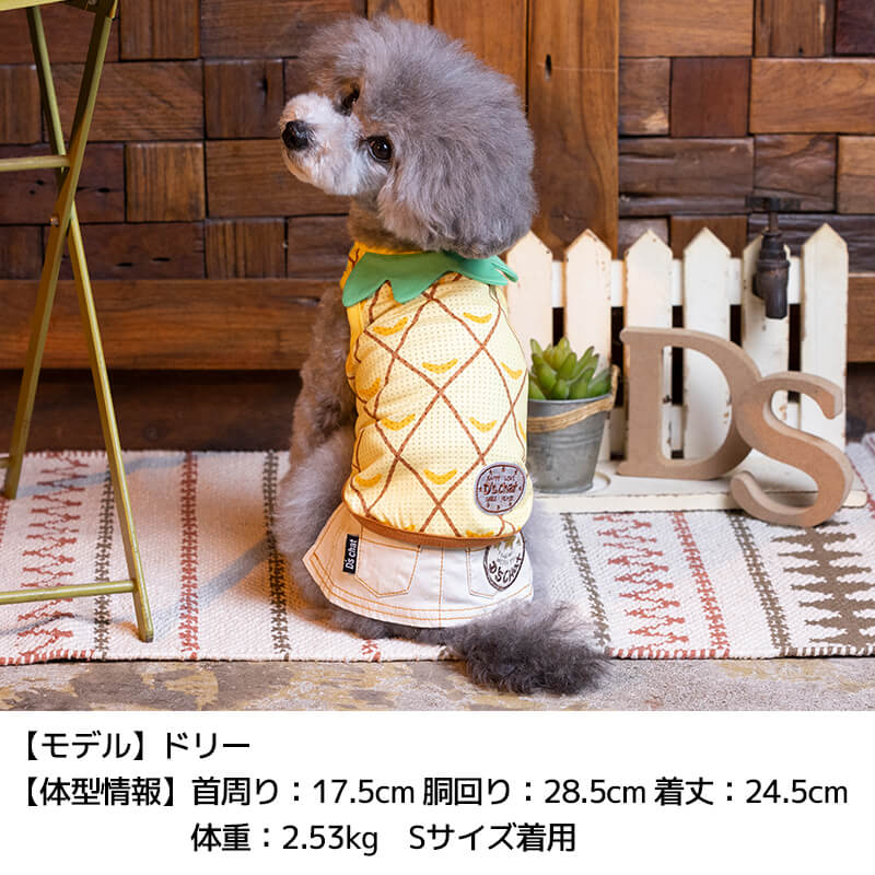 犬服 SS わんこの普段着　フルーツカシェ　ボーダー 犬服 SS わんこの普段着フルーツカシェボーダー