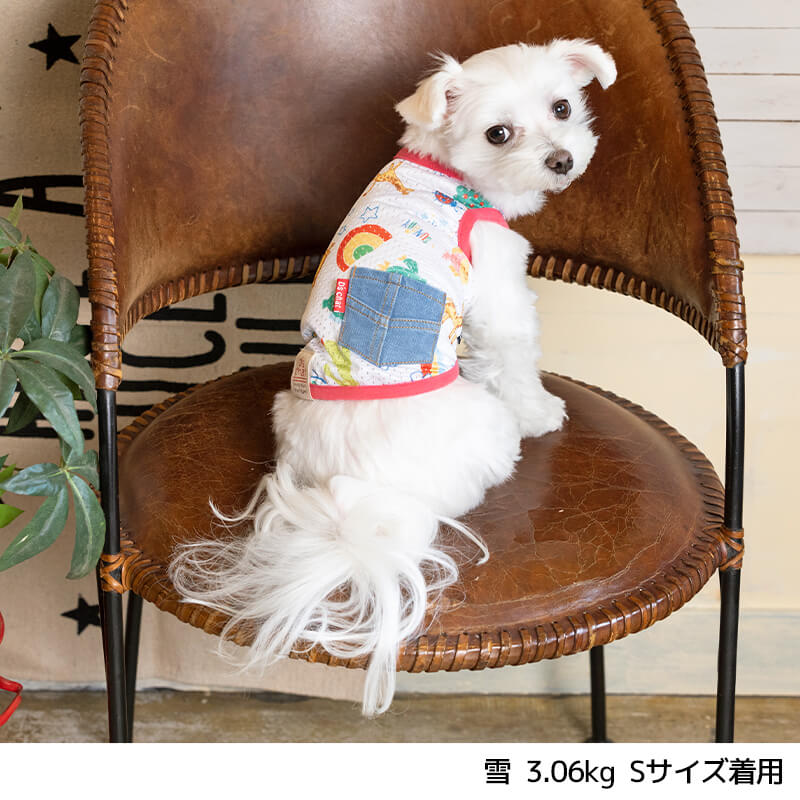 サファリ柄メッシュタンク XS/S/M/L/XL/XXL/DS/DM/DL/FBM D's Chat-ディーズチャット- 犬服 ドッグウェア 小型犬 ダックス フレブル DS22SS ds161126-1