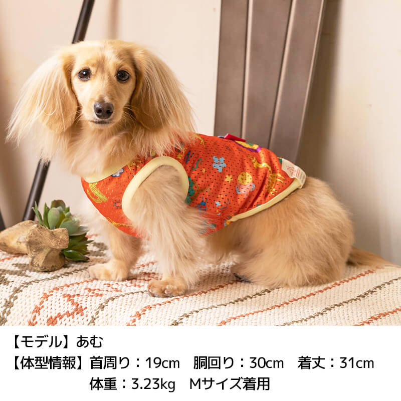 サファリ柄メッシュタンク XS/S/M/L/XL/XXL/DS/DM/DL/FBM D's Chat-ディーズチャット- 犬服 ドッグウェア 小型犬 ダックス フレブル DS22SS ds161126-1