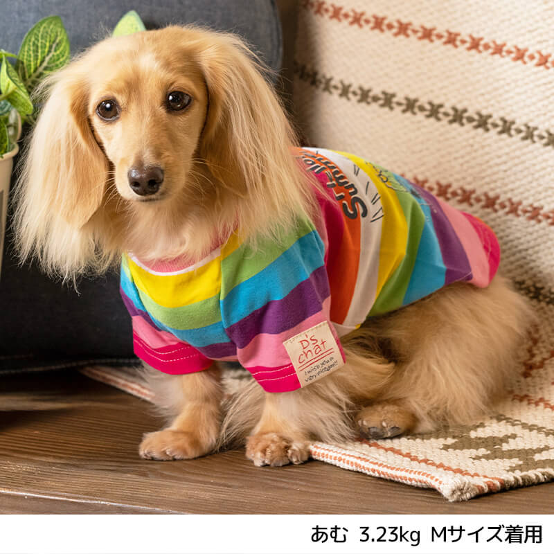 マルチボーダーTシャツ XS/S/M/L/XL/XXL/DS/DM/4L/5L/6L/OS/OM/OL D's Chat-ディーズチャット- 犬服 ドッグウェア 小型犬 ダックス 中・大型犬 DS22SS ds161127-1