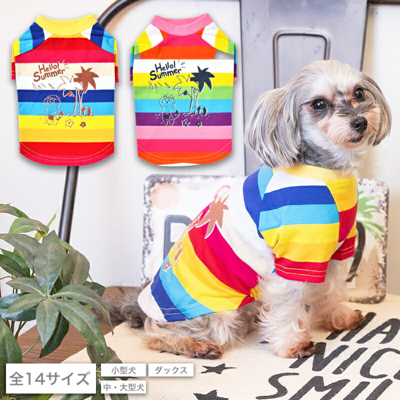 マルチボーダーTシャツ XS/S/M/L/XL/XXL/DS/DM/4L/5L/6L/OS/OM/OL D's Chat-ディーズチャット- 犬服 ドッグウェア 小型犬 ダックス 中・大型犬 DS22SS ds161127-1