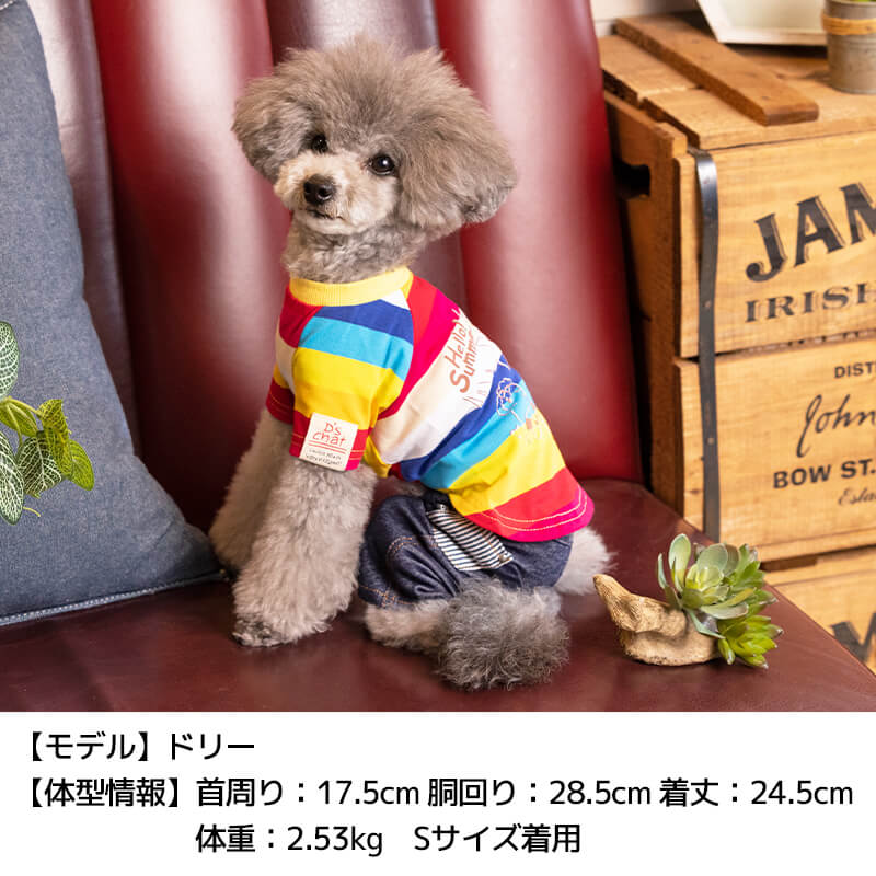 マルチボーダーTシャツ XS/S/M/L/XL/XXL/DS/DM/4L/5L/6L/OS/OM/OL D's Chat-ディーズチャット- 犬服 ドッグウェア 小型犬 ダックス 中・大型犬 DS22SS ds161127-1