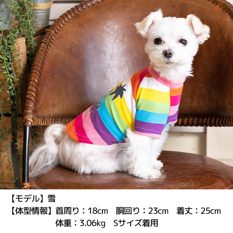 マルチボーダーTシャツ XS/S/M/L/XL/XXL/DS/DM/4L/5L/6L/OS/OM/OL D's Chat-ディーズチャット- 犬服 ドッグウェア 小型犬 ダックス 中・大型犬 DS22SS ds161127-1