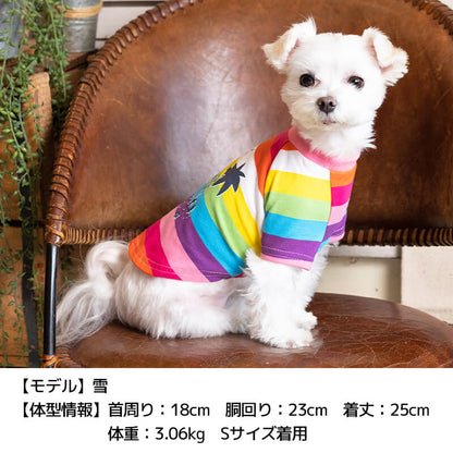 マルチボーダーTシャツ XS/S/M/L/XL/XXL/DS/DM/4L/5L/6L/OS/OM/OL D's Chat-ディーズチャット- 犬服 ドッグウェア 小型犬 ダックス 中・大型犬 DS22SS ds161127-1