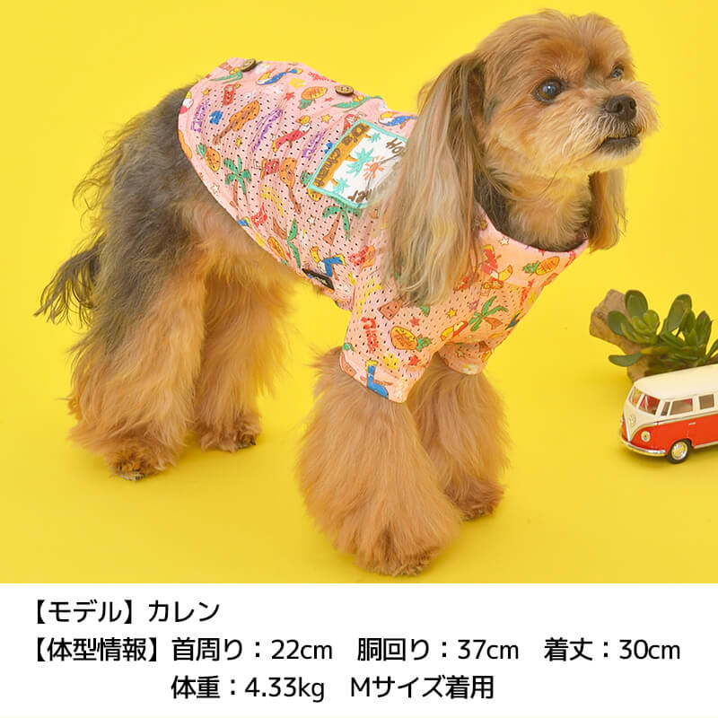 南国柄背開きシャツ XS/S/M/L/XL/XXL/DS/DM/4L/5L/6L/OS/OM/OL D's Chat-ディーズチャット- 犬服 ドッグウェア 小型犬 ダックス 中・大型犬 DS22SS ds162129-1