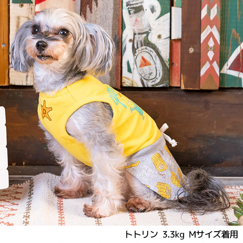 スイートコーン柄ワンピ XS/S/M/L/XL D's Chat-ディーズチャット- 犬服 ドッグウェア 小型犬 トイプードル チワワ ポメラニアン DS22SS ds164133-1