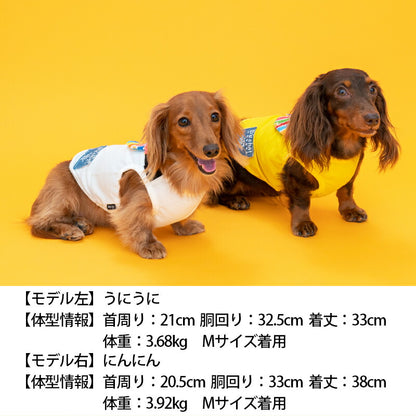 カラフルスターショルダータンク XS/S/M/L/XL/XXL/DS/DM/DL/FBM D's Chat-ディーズチャット- 犬服 ドッグウェア 小型犬 ダックス フレブル DS23SS ds231161-1