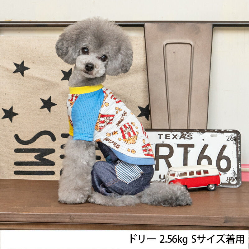 ポップコーン柄メッシュTシャツ XS/S/M/L/XL/XXL/DS/DM D's Chat-ディーズチャット- 犬服 ドッグウェア 小型犬 ダックス DS23SS ds231169-1