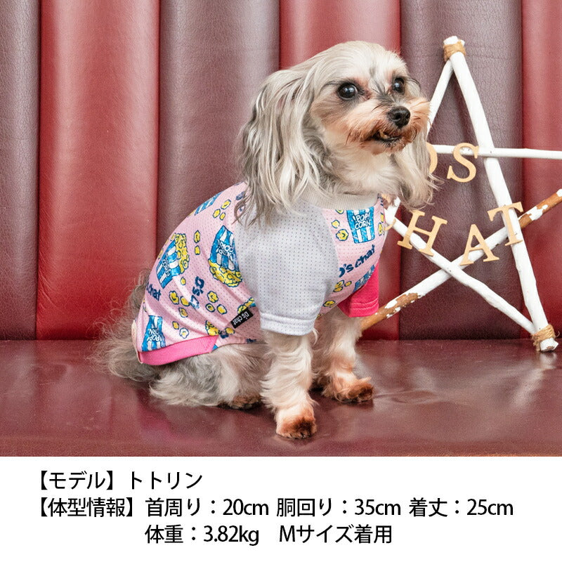 ポップコーン柄メッシュTシャツ XS/S/M/L/XL/XXL/DS/DM D's Chat-ディーズチャット- 犬服 ドッグウェア 小型犬 ダックス DS23SS ds231169-1