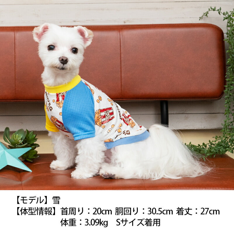 ポップコーン柄メッシュTシャツ XS/S/M/L/XL/XXL/DS/DM D's Chat-ディーズチャット- 犬服 ドッグウェア 小型犬 ダックス  DS23SS ds231169-1