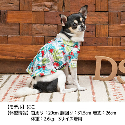 アロハ柄背開きシャツ XS/S/M/L/XL/XXL/DS/DM D's Chat-ディーズチャット- 犬服 ドッグウェア 小型犬 ダックス DS23SS ds231170-1