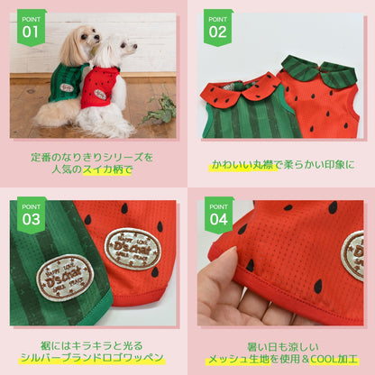 スイカ襟付きメッシュタンク XS/S/M/L/XL/XXL/DS/DM/DL/FBM D's Chat-ディーズチャット- 犬服 ドッグウェア 小型犬 ダックス フレブル DS23SS ds231179-1