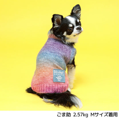 グラデーションニット XS/S/M/L/XL/XXL/DXS/DS/DM/DL/FBS/FBM/FBL D's Chat-ディーズチャット- 犬服 小型犬 ドッグウェア DS24AW ds241245