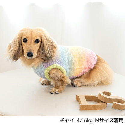 グラデーションニット XS/S/M/L/XL/XXL/DXS/DS/DM/DL/FBS/FBM/FBL D's Chat-ディーズチャット- 犬服 小型犬 ドッグウェア DS24AW ds241245