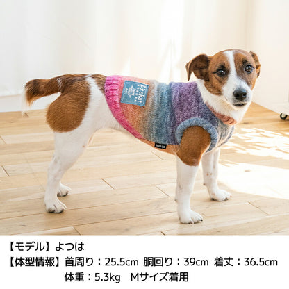 グラデーションニット XS/S/M/L/XL/XXL/DXS/DS/DM/DL/FBS/FBM/FBL D's Chat-ディーズチャット- 犬服 小型犬 ドッグウェア DS24AW ds241245