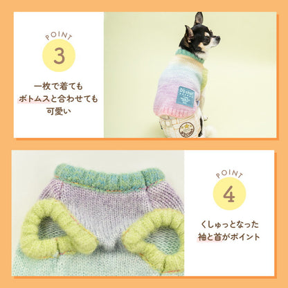 グラデーションニット XS/S/M/L/XL/XXL/DXS/DS/DM/DL/FBS/FBM/FBL D's Chat-ディーズチャット- 犬服 小型犬 ドッグウェア DS24AW ds241245