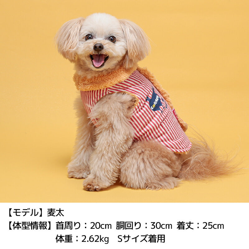 ボーダーチキン柄アウター XS/S/M/L/XL/XXL/DXS/DS/DM/DL/FBS/FBM/FBL D's Chat-ディーズチャット- 犬服 小型犬 ドッグウェア DS24AW ds241249