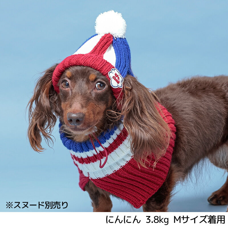 マルチボーダーニット帽 S/S-M/M/L D's Chat-ディーズチャット- 犬服 小型犬 ドッグウェア DS24AW ds242250