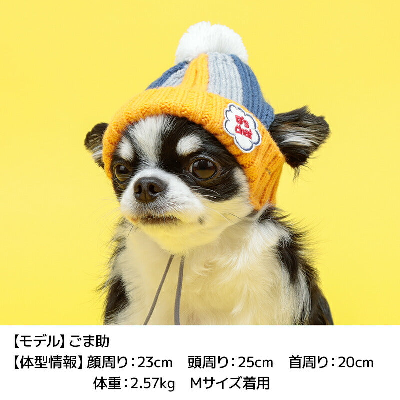 マルチボーダーニット帽 S/S-M/M/L D's Chat-ディーズチャット- 犬服 小型犬 ドッグウェア DS24AW ds242250