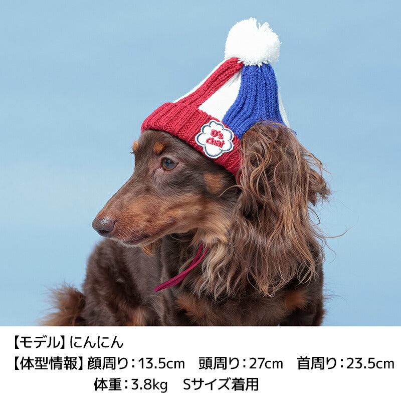 マルチボーダーニット帽 S/S-M/M/L D's Chat-ディーズチャット- 犬服 小型犬 ドッグウェア DS24AW ds242250