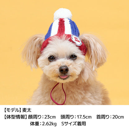 マルチボーダーニット帽 S/S-M/M/L D's Chat-ディーズチャット- 犬服 小型犬 ドッグウェア DS24AW ds242250