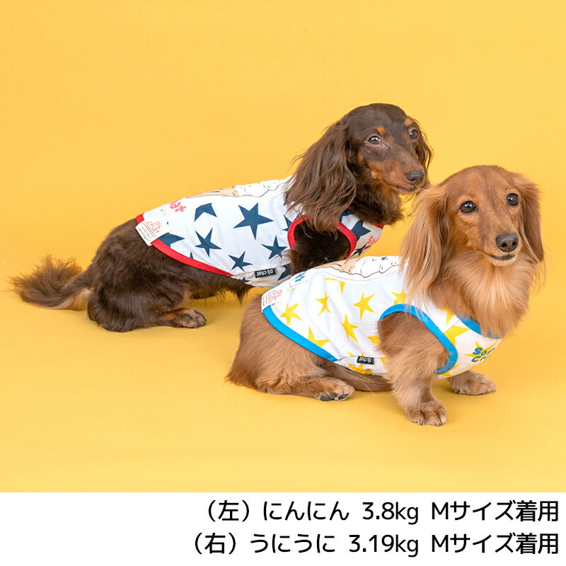 ディーズ君ソフトタンク XS/S/M/L/XL/XXL/DXS/DS/DM/DL/FBS/FBM/FBL D's Chat-ディーズチャット- 犬服 小型犬 ドッグウェア DS25SS ds251260